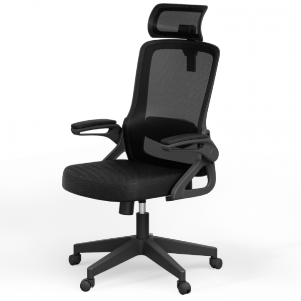 Office Chair, S-Shaped Ergonomic Mesh Desk Chair, Adjustable Headrest & Height, Widened Cushion, 90°Flip-Up Armrest, Hassle-Free Assembly & Storage, Home/Office/Bedroom Computer Chair with 360° Casters